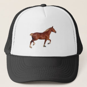 Boné Cavalo de esboço belga