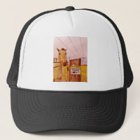 Cavalo de Propriedade Privada Rosa