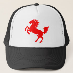 Boné Cavalo Estalhão Equestre Equestre