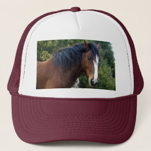 Boné Cavalo Grande Brown Clydesdale,
