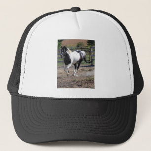 Boné Cavalo/Pintura