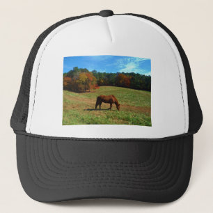 Boné Cavalo vermelho castanho, árvores de queda, céus a