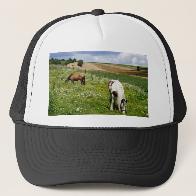 Boné Cavalos de pasto (Frente)