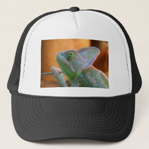 Boné Chameleon velado