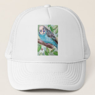 Boné Chapéu azul do Parakeet