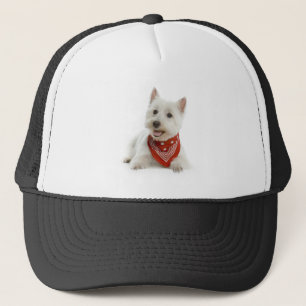 Boné Chapéu/boné de Westie