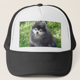 Boné chapéu com foto original da Pomerânia