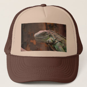 Boné Chapéu com um lagarto de Iguana colorido