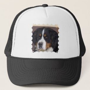 Boné Chapéu de basebol de Berner Sennenhund