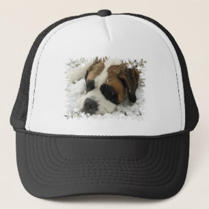 Boné Chapéu de basebol do cão de St Bernard