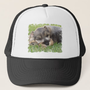 Boné Chapéu de basebol do Schnauzer Snoozing