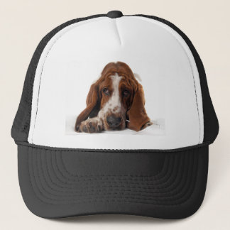 Boné Chapéu de Basset Hound