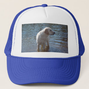 Boné Chapéu de labrador retriever no lago