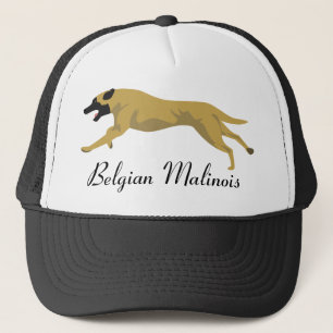 Boné Chapéu de Malinois