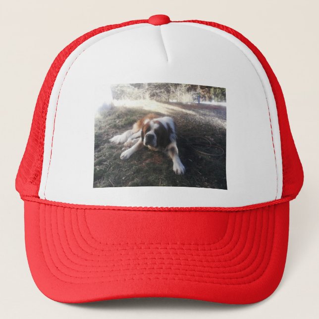 Boné chapéu de St Bernard (Frente)