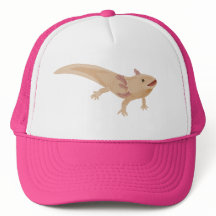 Chapéu do Axolotl