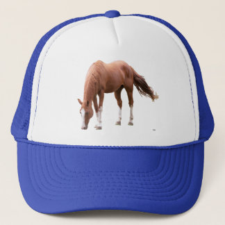 Boné Chapéu do camionista do cavalo da azeda
