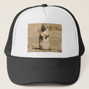 Boné Chapéu do cão de pradaria