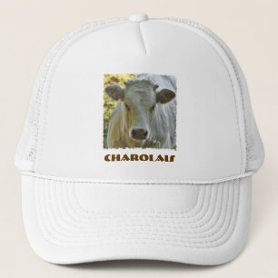 Boné Chapéu do charolês