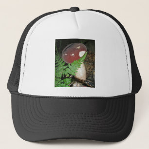Boné Chapéu do cogumelo de veludo