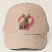 Chapéu do filhote de cachorro do buldogue francês