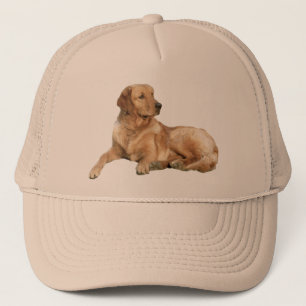Boné Chapéu do golden retriever