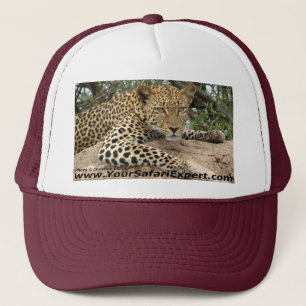 Boné Chapéu do leopardo
