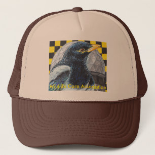 Boné Chapéu do Magpie