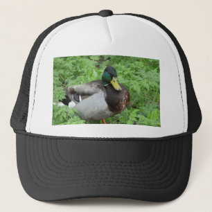 Boné Chapéu do pato do pato selvagem
