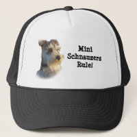 Chapéu do Schnauzer diminuto