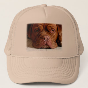 Boné Chapéu Droopy do clássico do cão