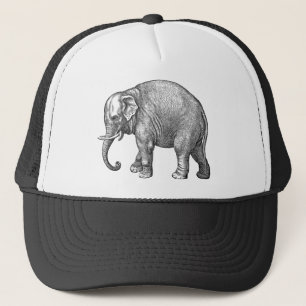 Boné Chapéu Elefante Baseball