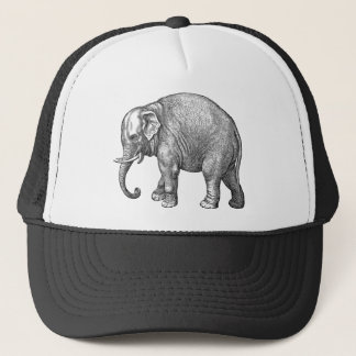Boné Chapéu Elefante Baseball
