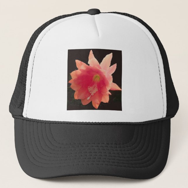 Boné Chapéu Epífito Laranja (Frente)