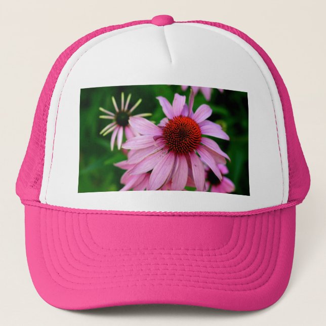 Boné chapéu rosa de echinacea (Frente)