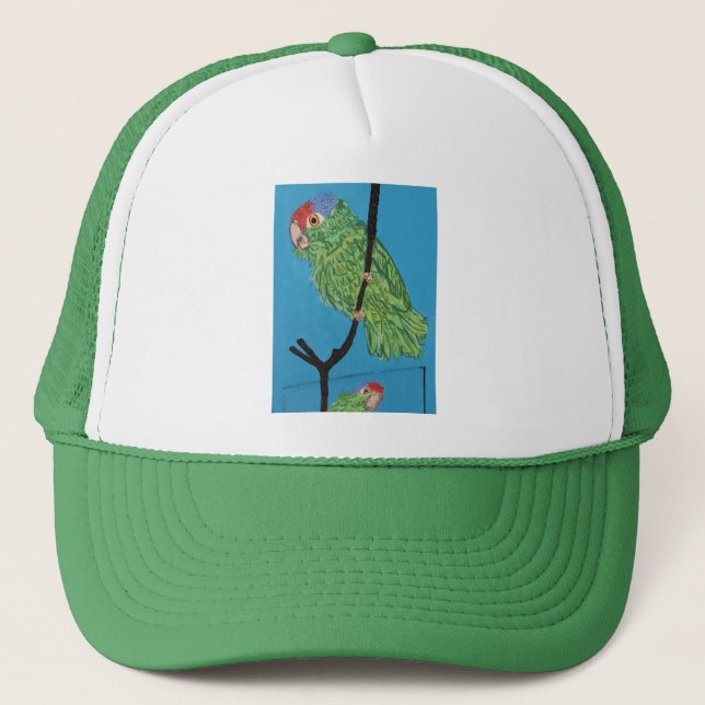 Boné chapéu verde de papagaio (Frente)