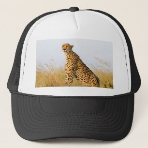 Boné Cheetah