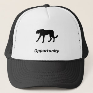 Boné Cheetah Opportunity