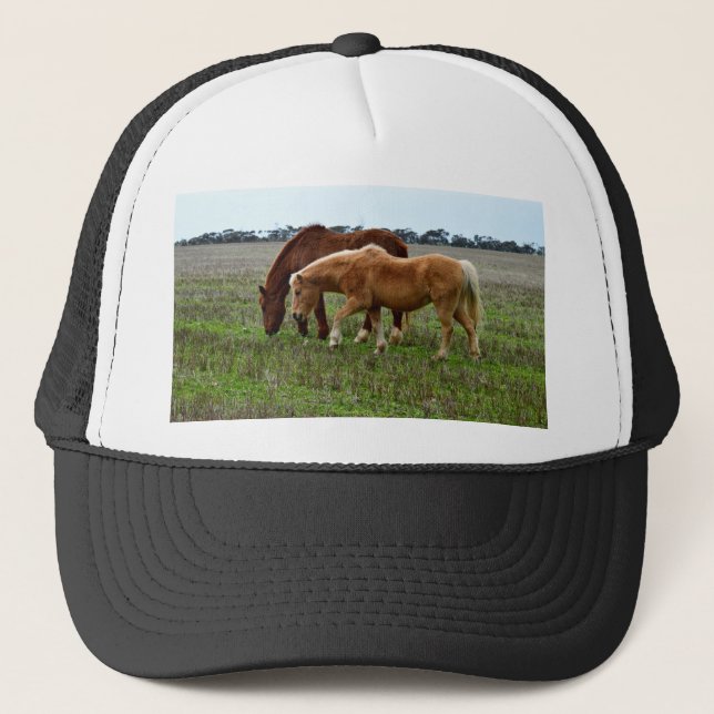 Boné Chestnut Mare E Palomino Foal, (Frente)