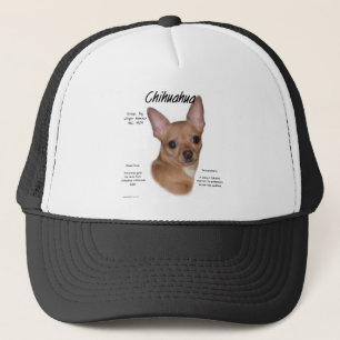 Boné Chihuahua (suave) Design de História