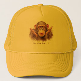 Boné Chimp Dizendo: "Você Sabe Como É"