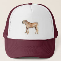 Chinês Shar-Pei