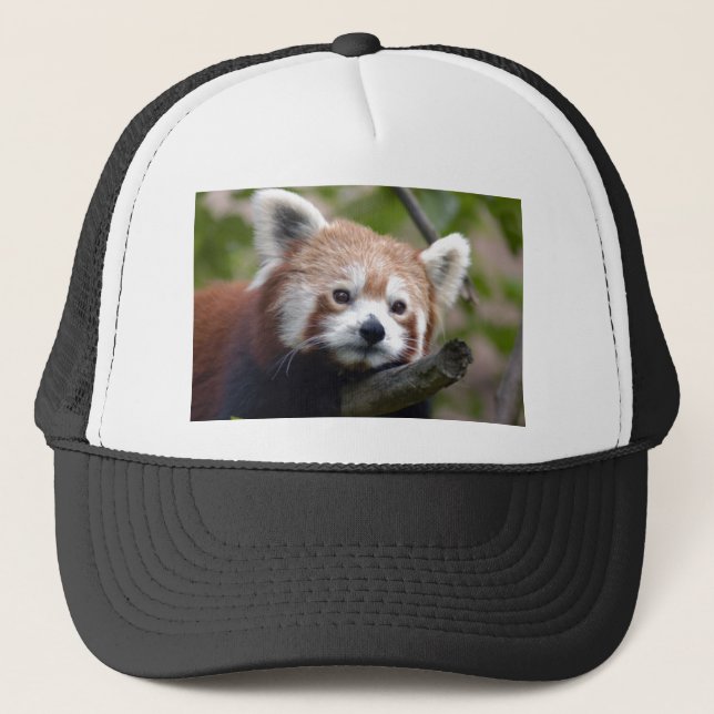 Boné chinês vermelho panda4x6 (Frente)
