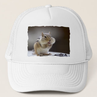 Boné Chipmunk com a foto do cheio dos mordentes