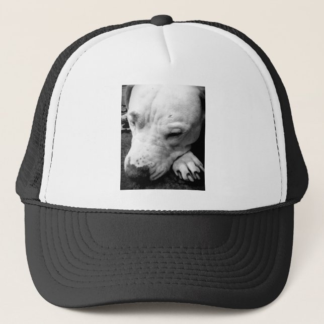 Boné cicatriz do harry potter cachorro pit bull branco (Frente)