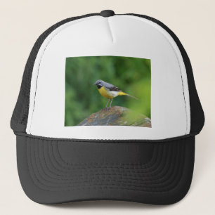 Boné Cinza Wagtail - pássaro