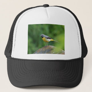 Boné Cinza Wagtail - pássaro