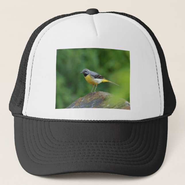 Boné Cinza Wagtail - pássaro (Frente)