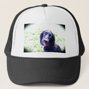 Boné Cocker Spaniel