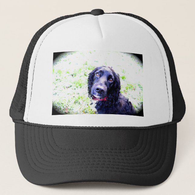 Boné Cocker Spaniel (Frente)